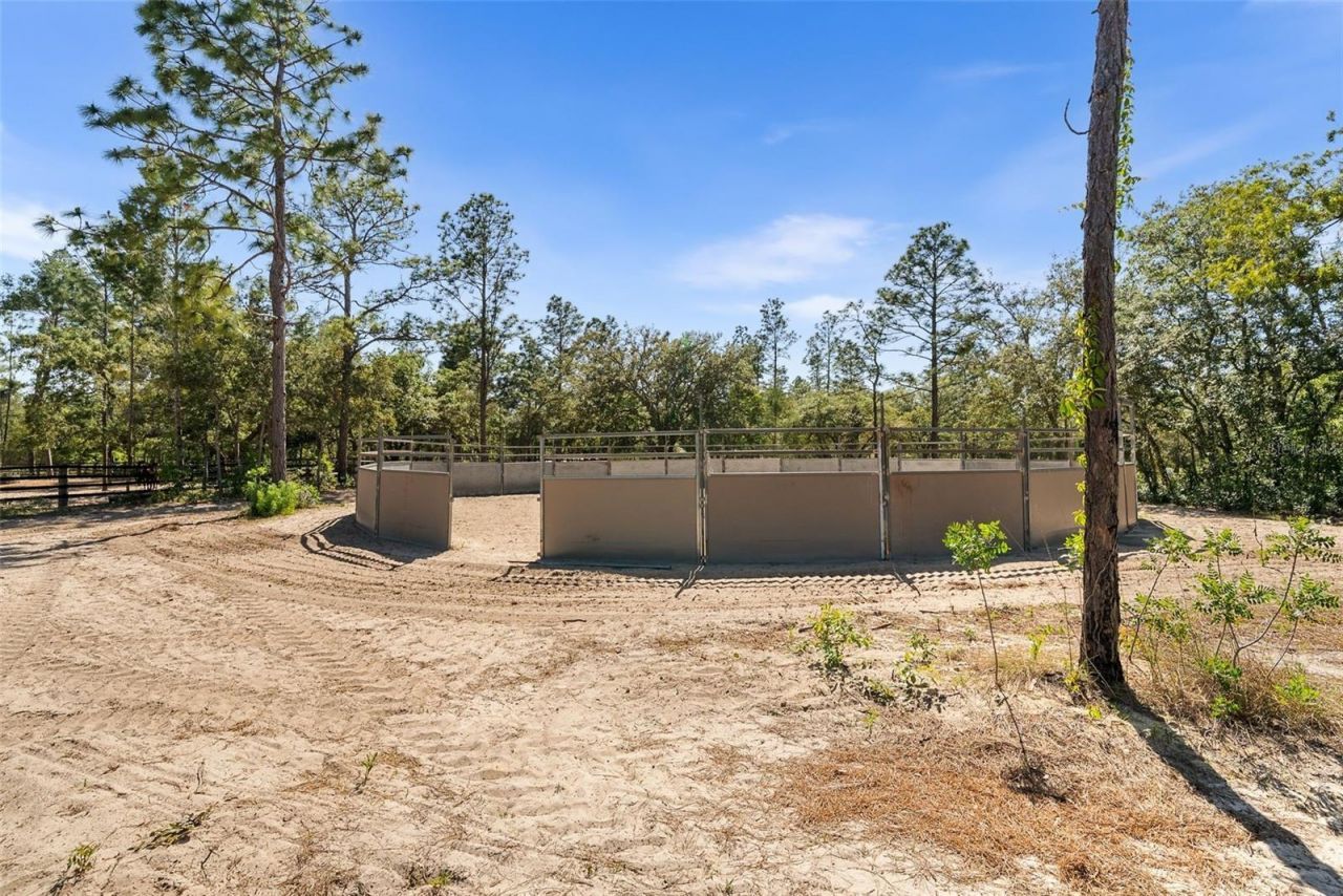25723 Bareva Road, Weeki Wachee, FL 34614 Photo
