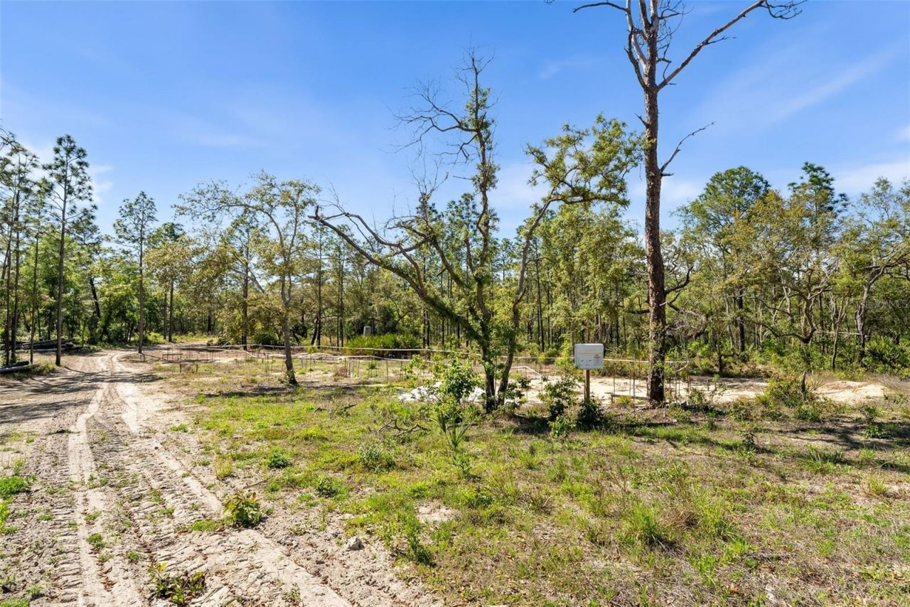 25723 Bareva Road, Weeki Wachee, FL 34614 Photo