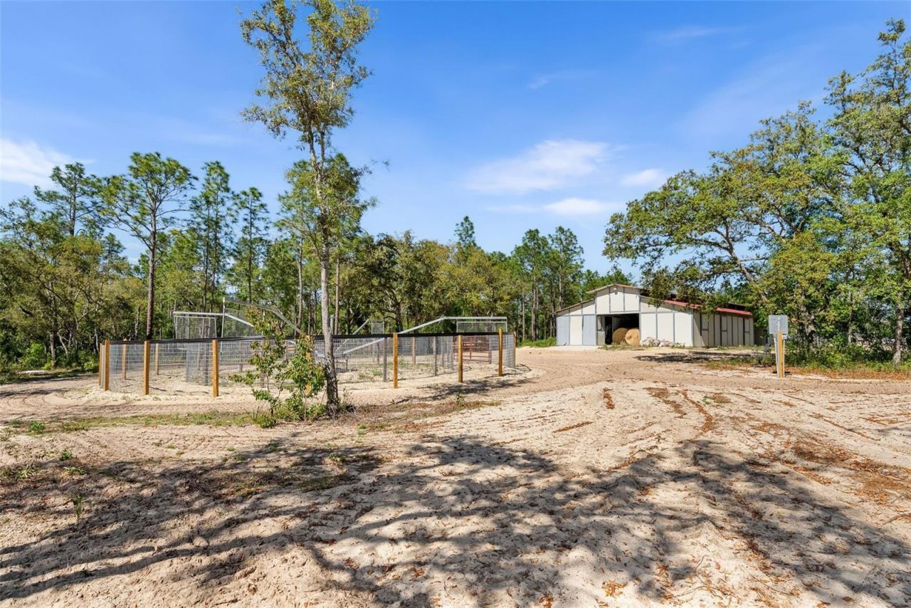25723 Bareva Road, Weeki Wachee, FL 34614 Photo
