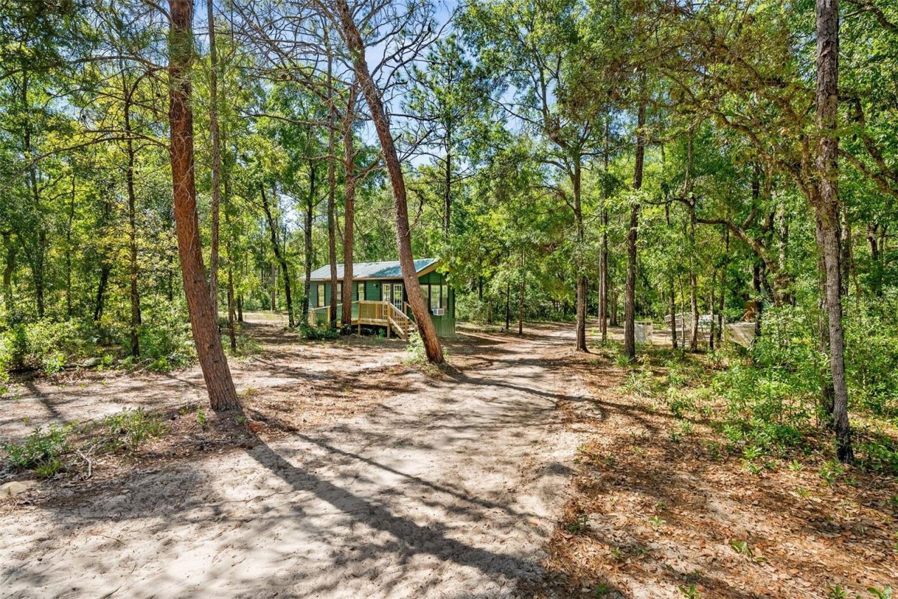 25723 Bareva Road, Weeki Wachee, FL 34614 Photo