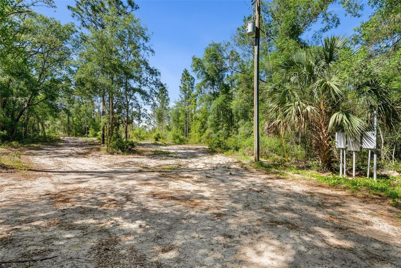 25723 Bareva Road, Weeki Wachee, FL 34614 Photo