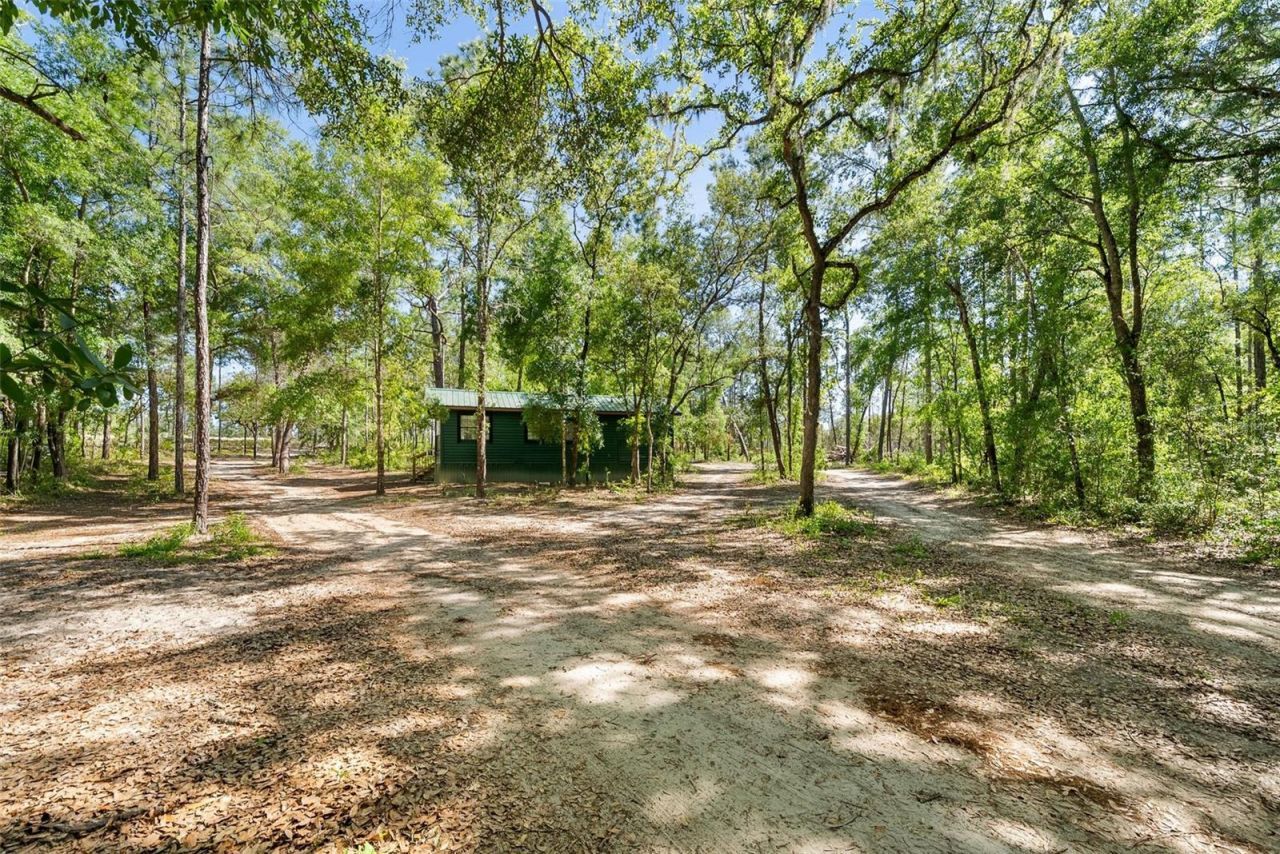 25723 Bareva Road, Weeki Wachee, FL 34614 Photo