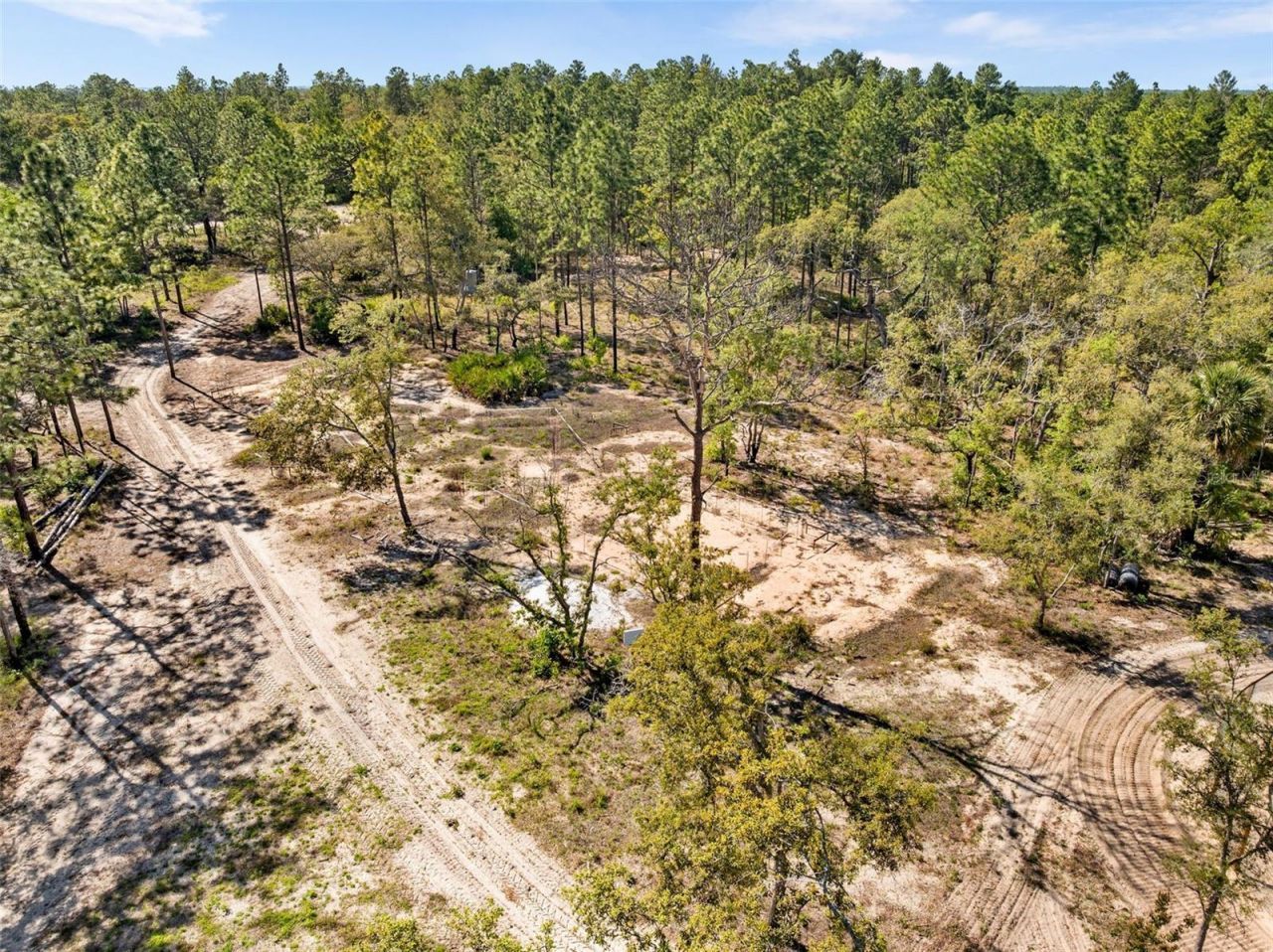 25723 Bareva Road, Weeki Wachee, FL 34614 Photo