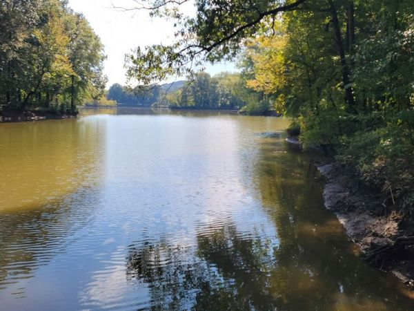 0 Shirley Bates Rd , Clifton, TN 38425