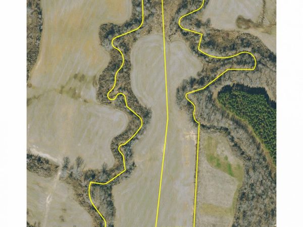 CR 428, Exhibit B, Paris, MS 38949