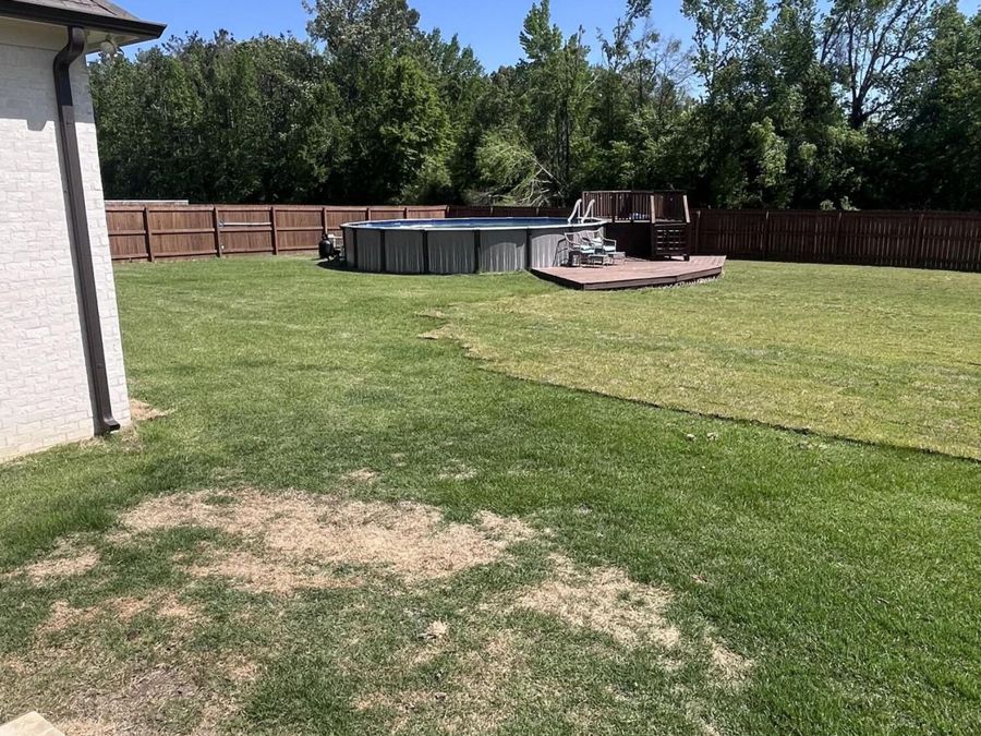 Property Image 66