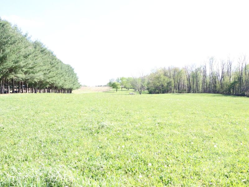 5323 Homer Road NW, Centerburg, OH 43011 Photo 5