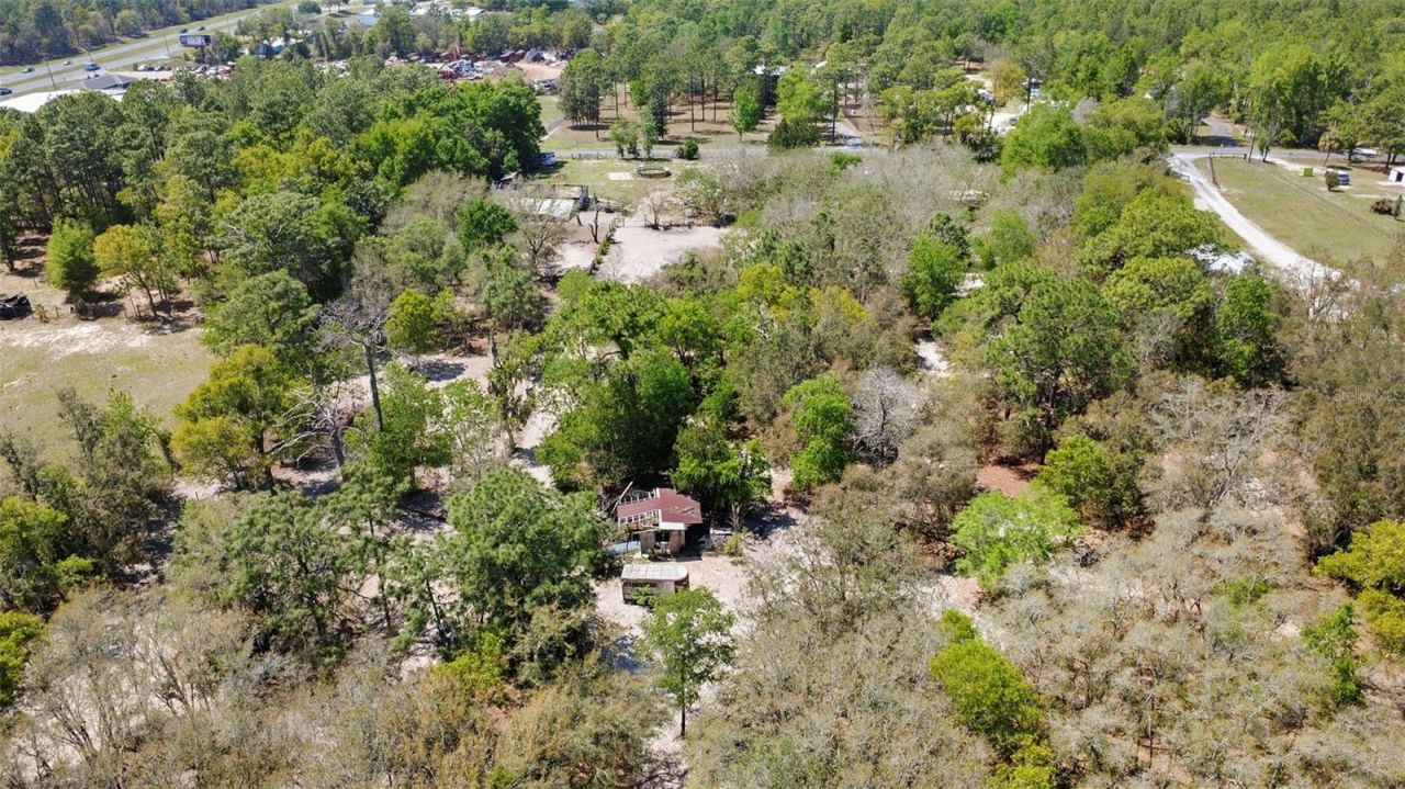 589 S Leona Avenue, Lecanto, FL 34461 Photo