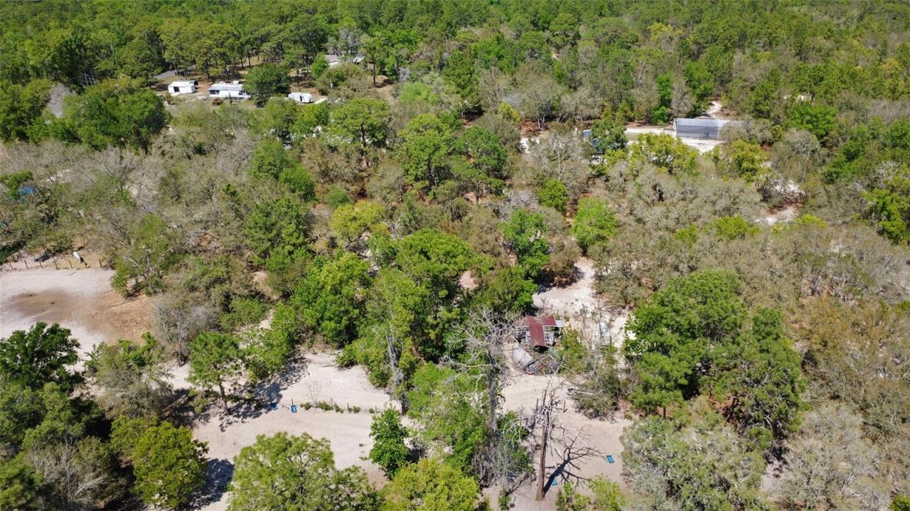 589 S Leona Avenue, Lecanto, FL 34461 Photo