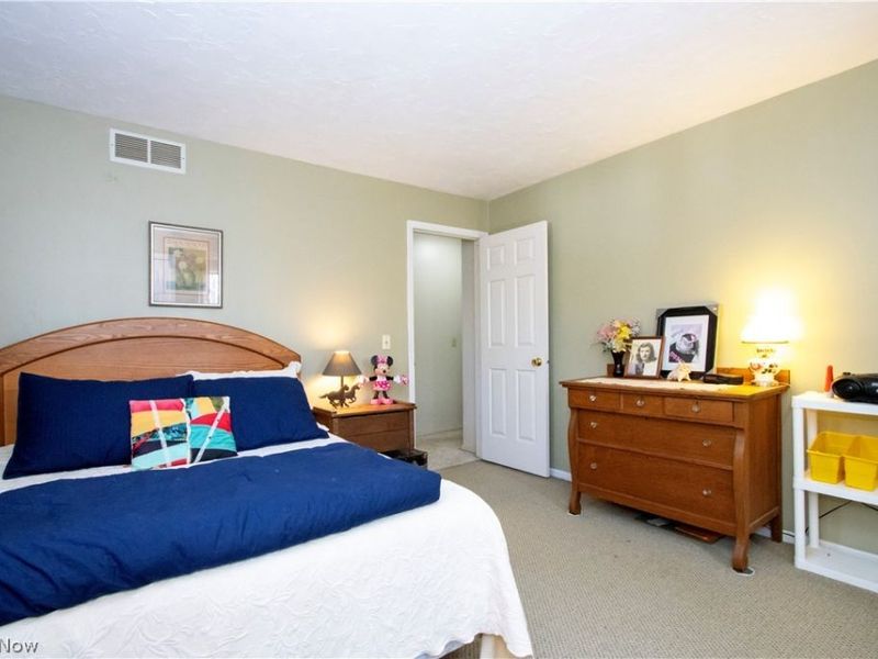 40100 Jones Road, Wellington, OH 44090 Photo 20