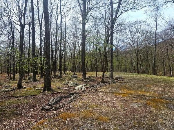 GOLDENSEAL ROAD, Unit LOT 46, MAYSVILLE, WV 26833