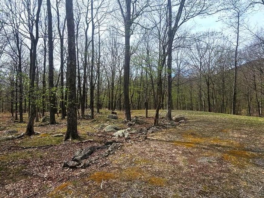 Goldenseal Road, Lot #LOT 46, Maysville, WV 26833 Main Photo