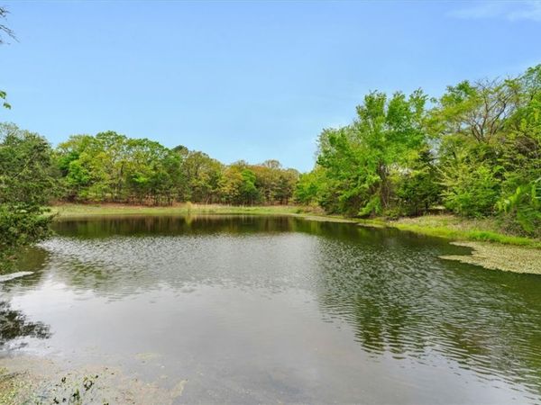 21.32 Acres Rock Springs Road , Lincoln, AR 72744