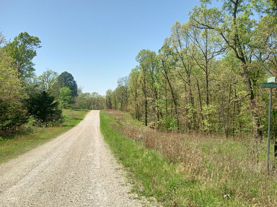 Property Image 15
