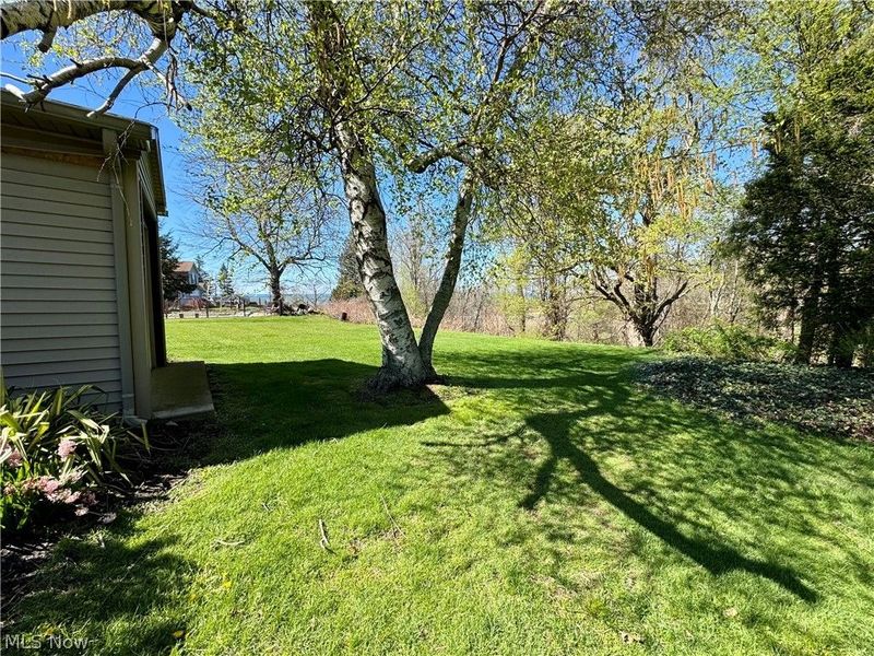 1648 Highland Lane, Ashtabula, OH 44004 Photo 44