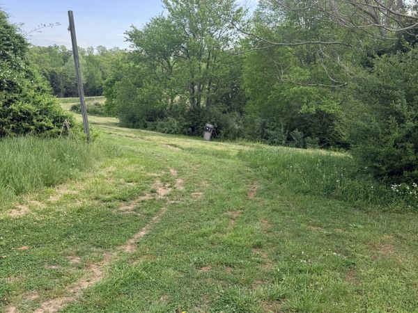 940 N Brace Rd , Summertown, TN 38483