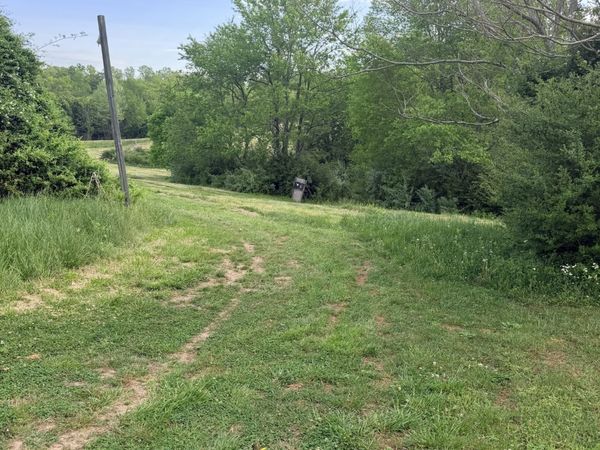 940 N Brace Rd , Summertown, TN 38483