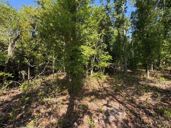 TBD 217TH RD, Live Oak, FL 32060