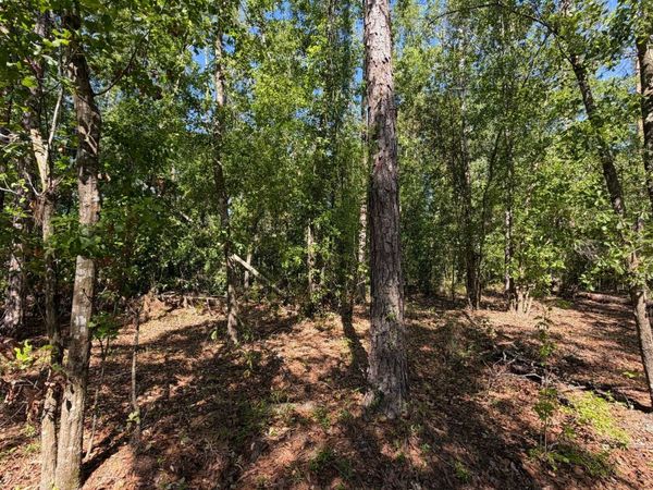 TBD SE CR-360, Mayo, FL 32060