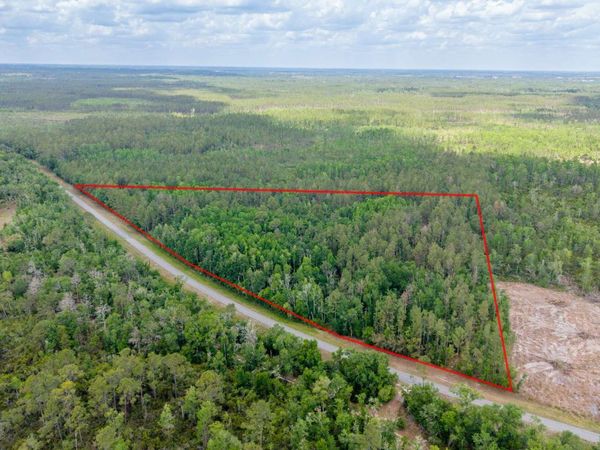 TBD SE CR-360, Mayo, FL 32060