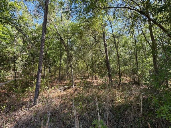 TBD SE CR-340, Mayo, FL 32060