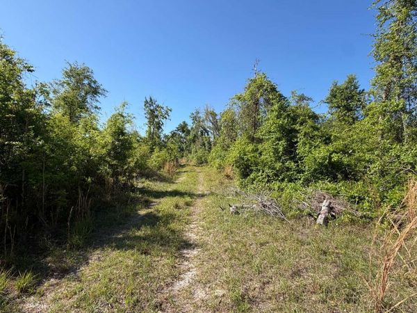 TBD 217TH RD, Live Oak, FL 32060