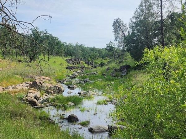 0 Daly, Palermo, CA 95966