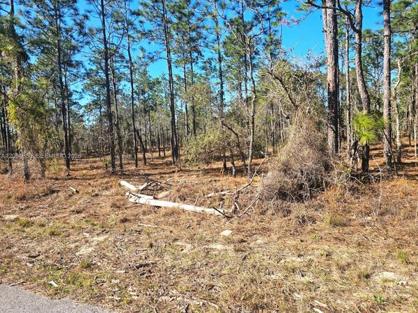 NO Situs NW Shamrock AVE , Dunnellon, FL 34431