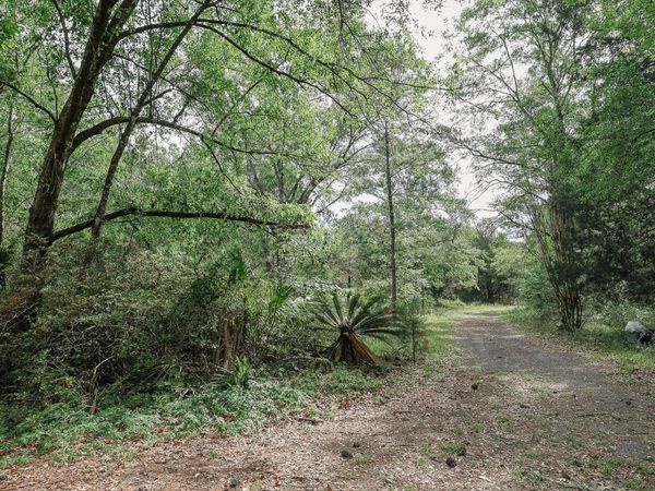 475 PRINGLE (CLAY COUNTY) Road, Jacksonville, FL 32234