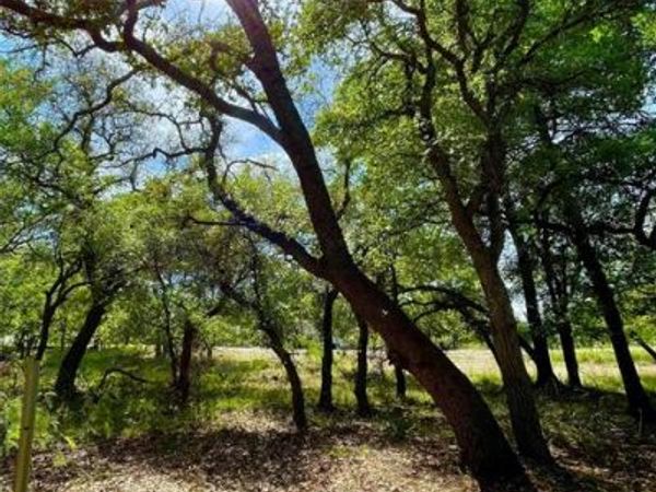 TBD (Lots 785, 786) Oak Point Drive , May, TX 76857