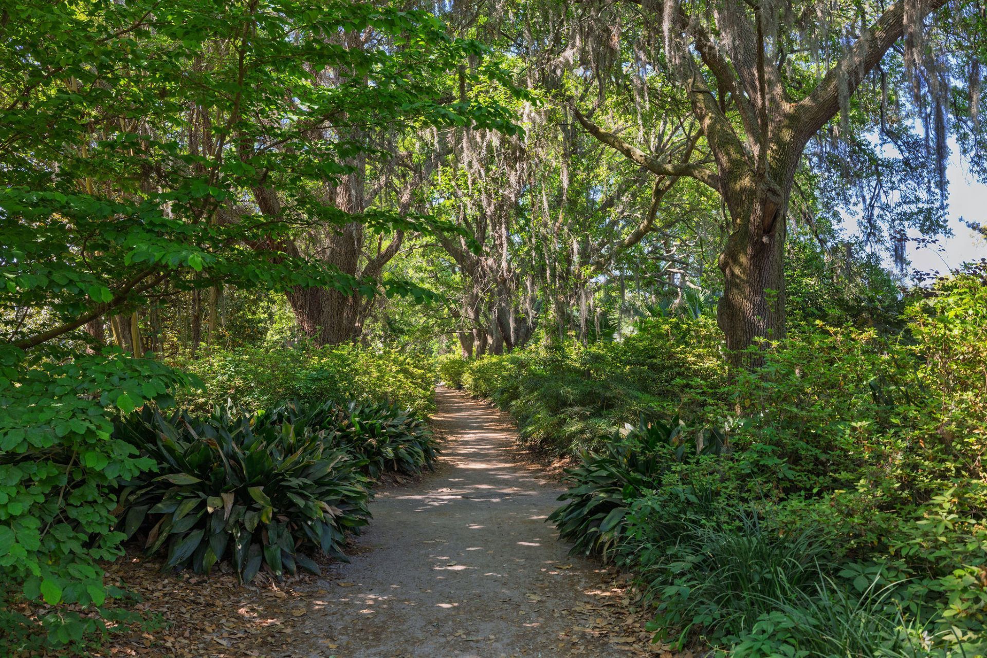 21 Cleveland Street Photo 49