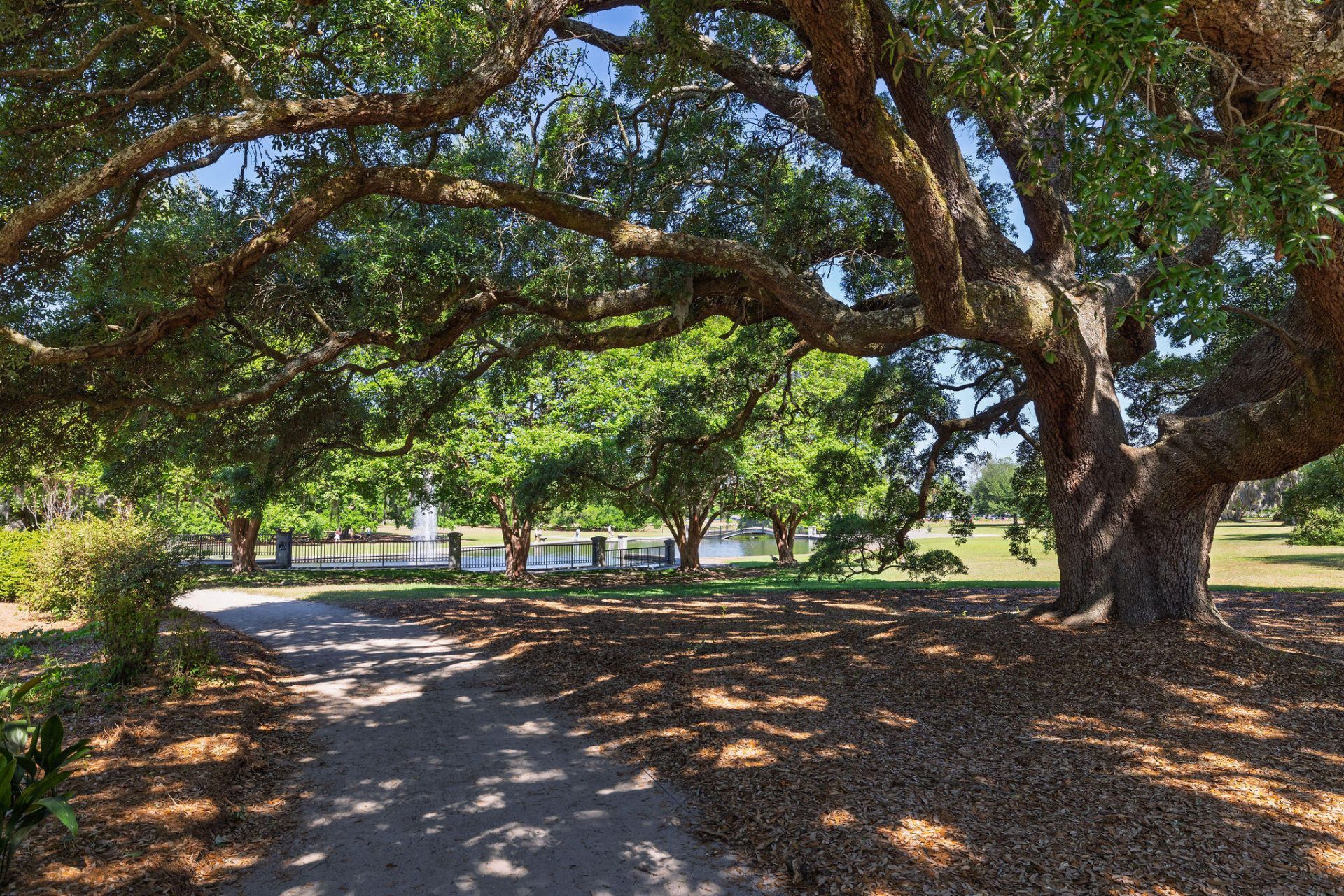 21 Cleveland Street Photo 51