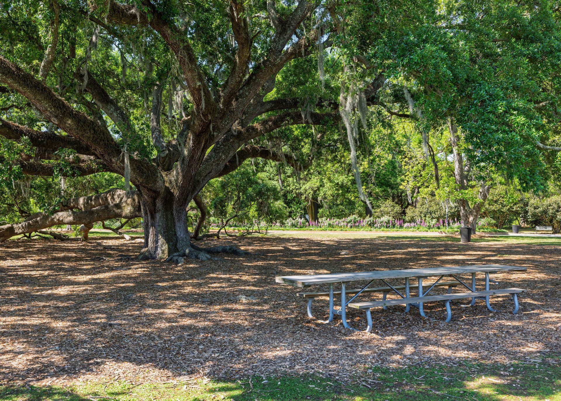 21 Cleveland Street Photo 52