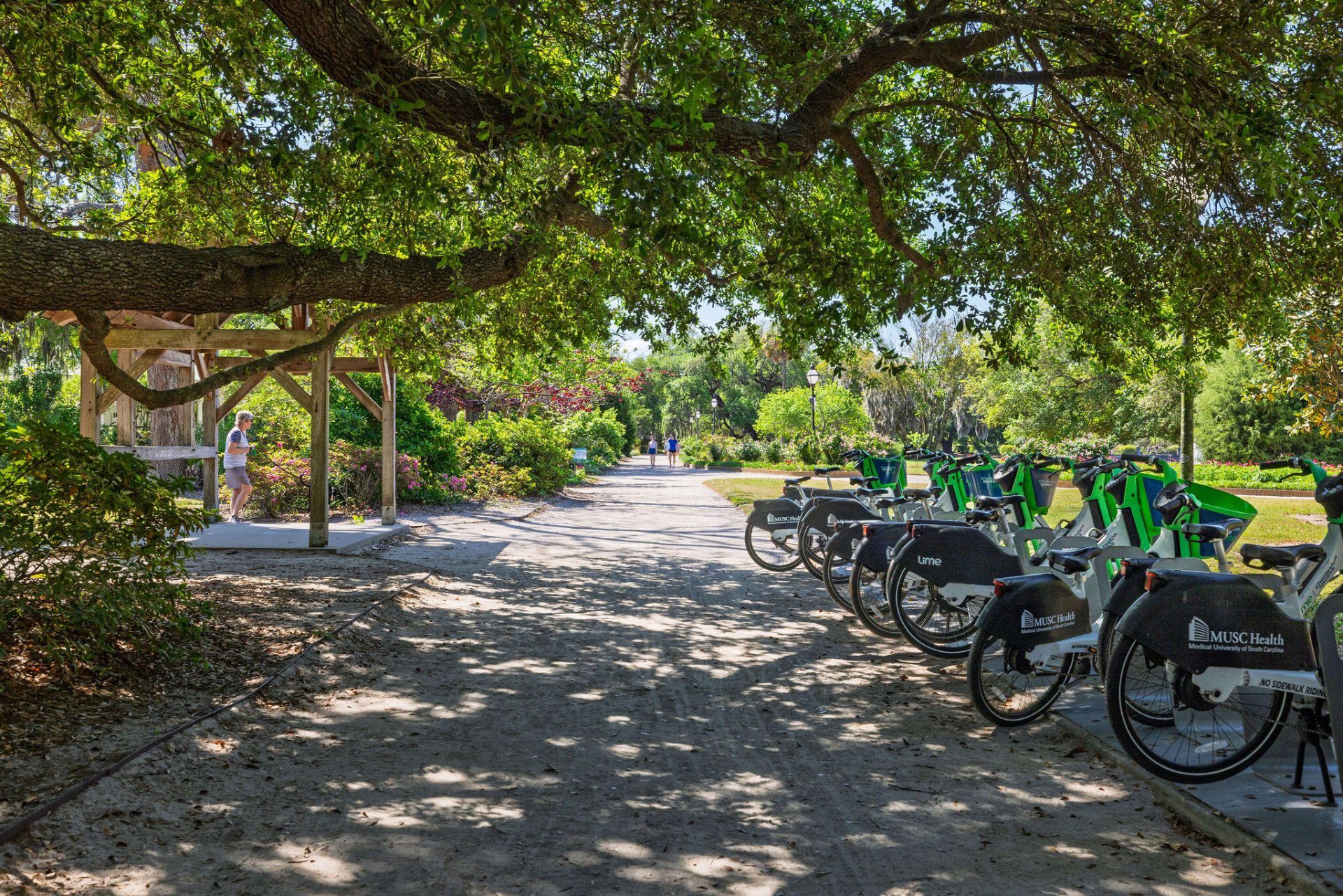 21 Cleveland Street Photo 53