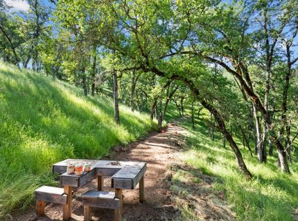 14883 Vaira Ranch Road, Drytown, CA 95699 Photo