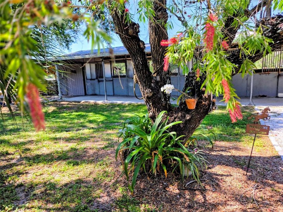Property Image 54