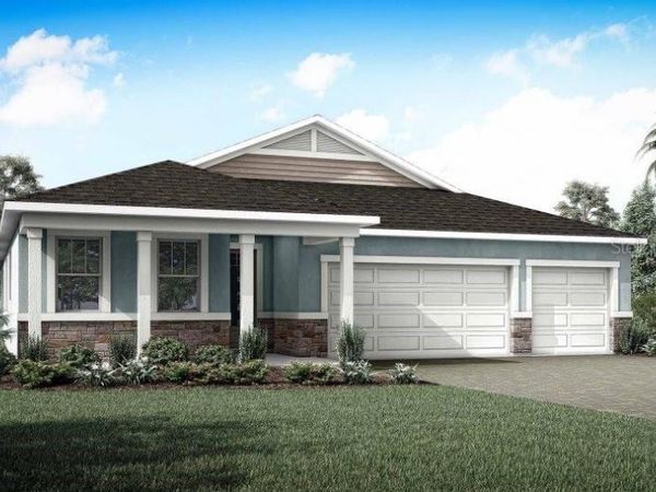 9672 SPARROW HILL ISLE , ZEPHYRHILLS, FL 33541