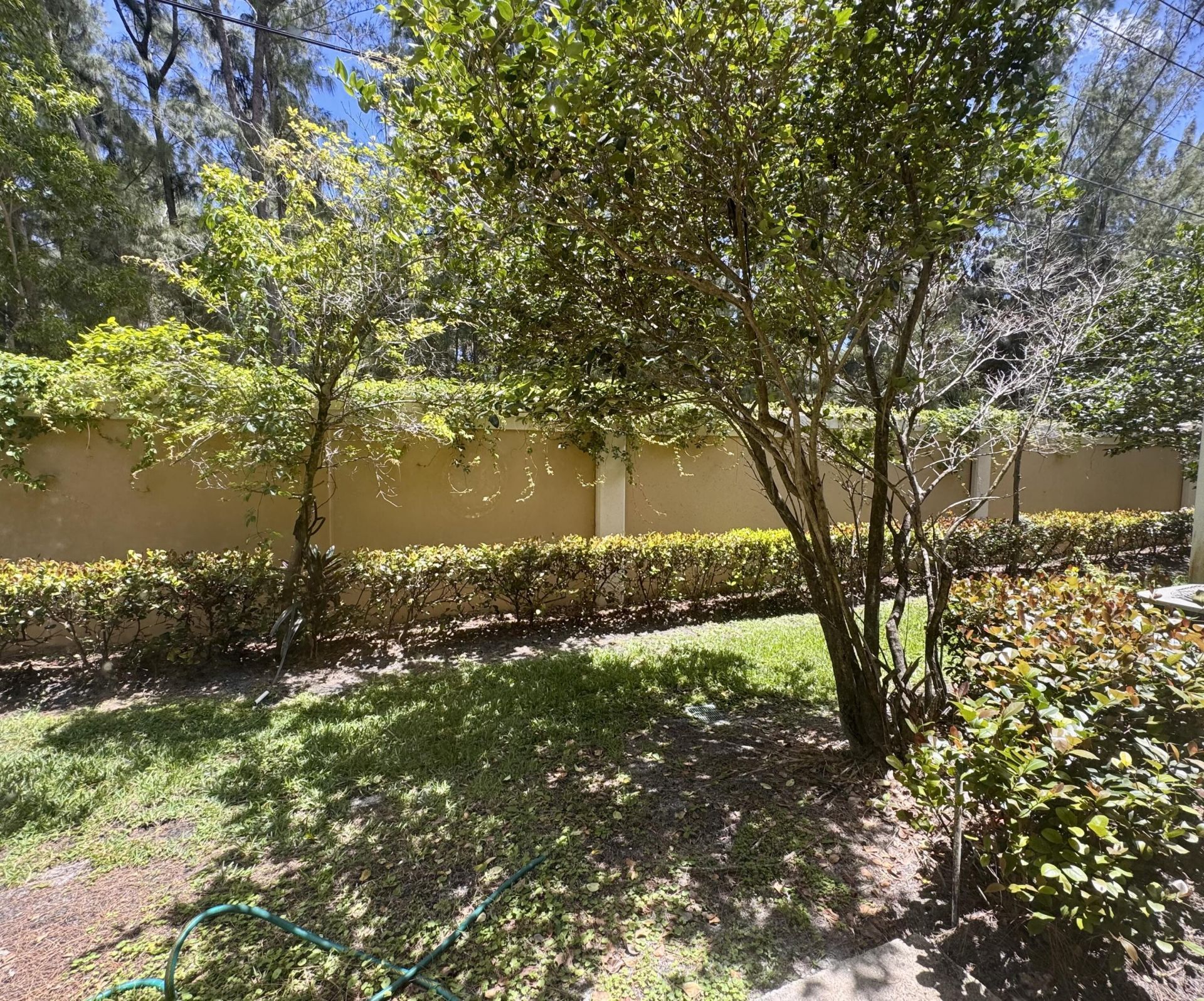 3730 N Jog Road, Unit 102, Royal Palm Beach, FL 33411 Photo