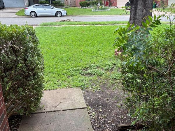 2211 Rick Whinery DR , Austin, TX 78728