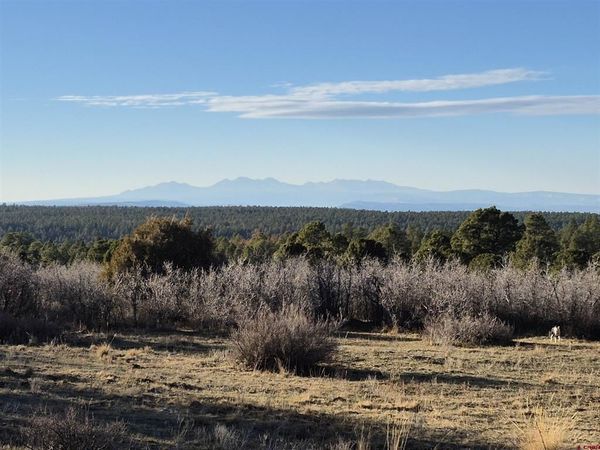 TBD South Avalon Drive, Norwood, CO 81423