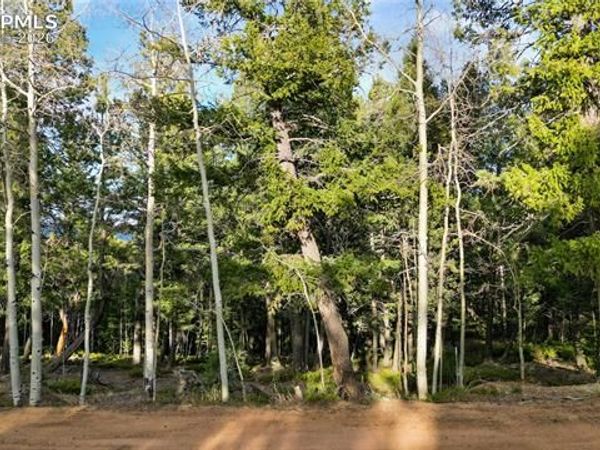 68 Yale Place, Woodland Park, CO 80863