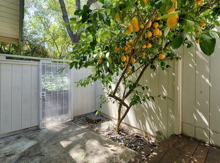 447 Sutton Pl, Auburn, CA 95603 Photo