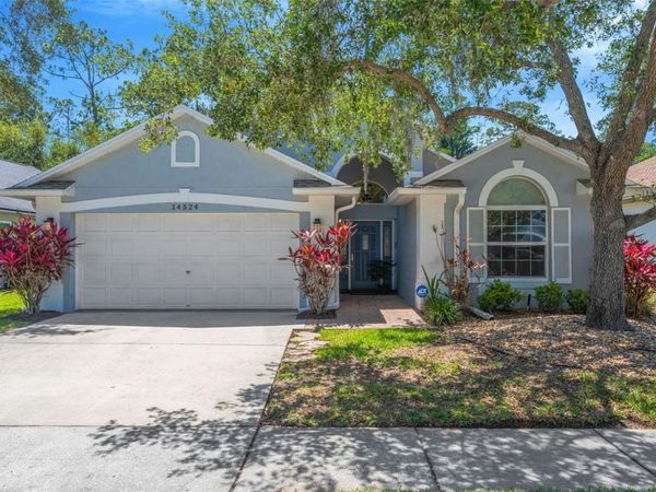 14524 WEEPING ELM DRIVE , TAMPA, FL 33626