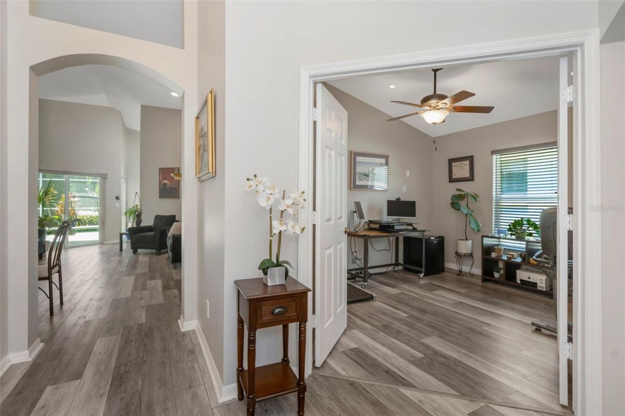 14524 Weeping Elm Drive, Tampa, FL 33626 Photo