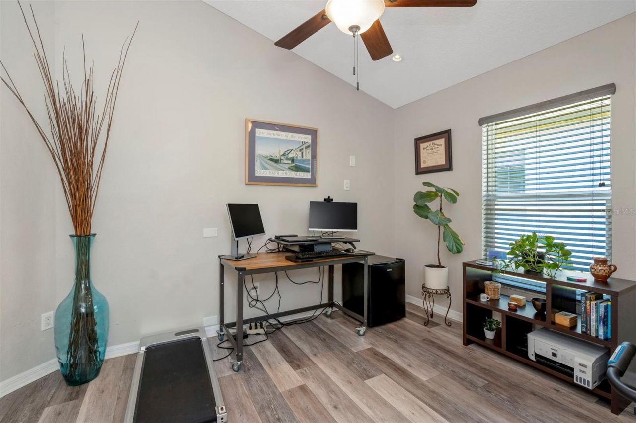 14524 Weeping Elm Drive, Tampa, FL 33626 Photo