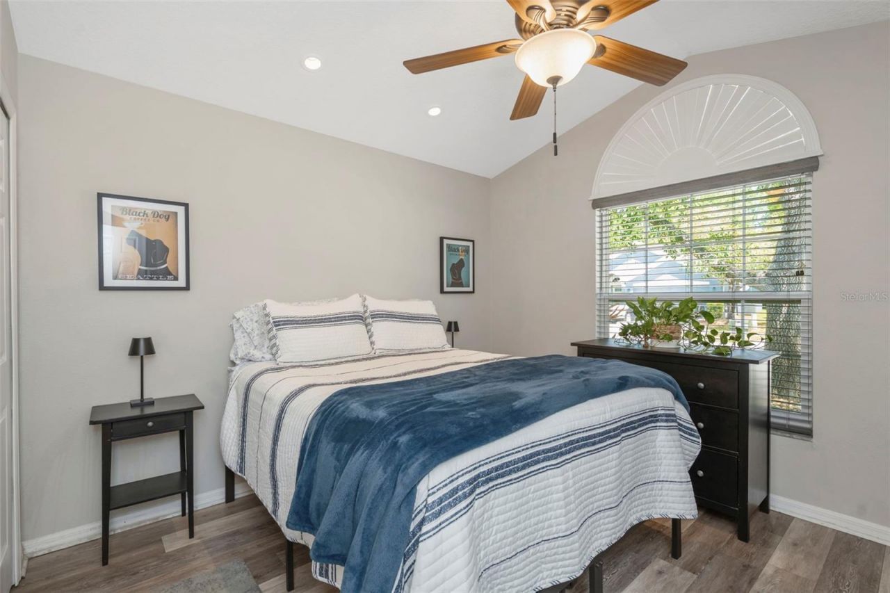 14524 Weeping Elm Drive, Tampa, FL 33626 Photo