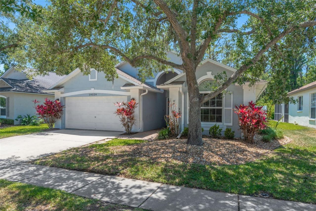 14524 Weeping Elm Drive, Tampa, FL 33626 Photo