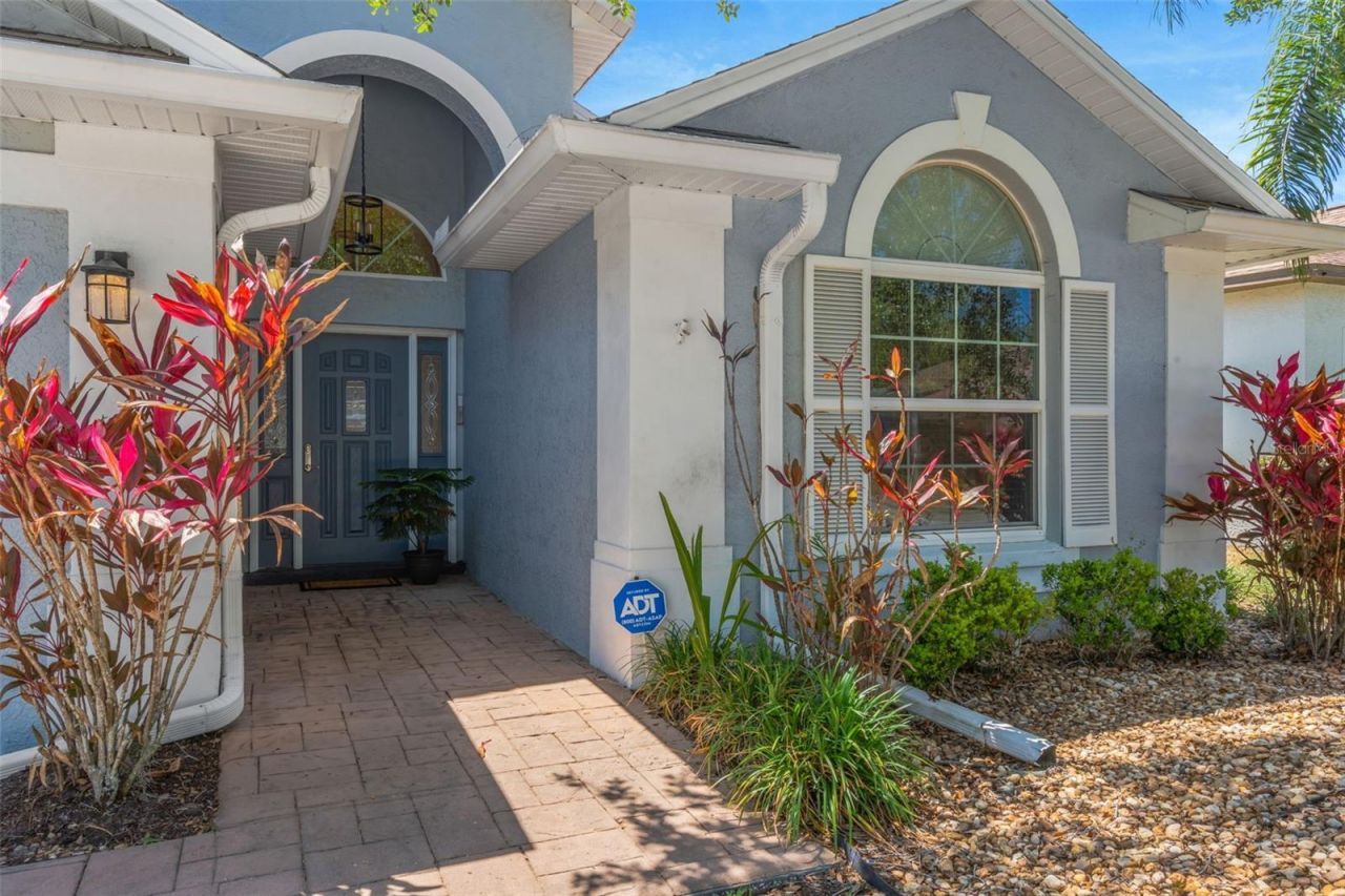 14524 Weeping Elm Drive, Tampa, FL 33626 Photo