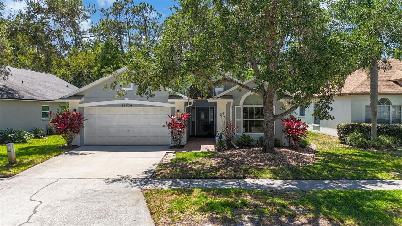14524 Weeping Elm Drive, Tampa, FL 33626 Photo