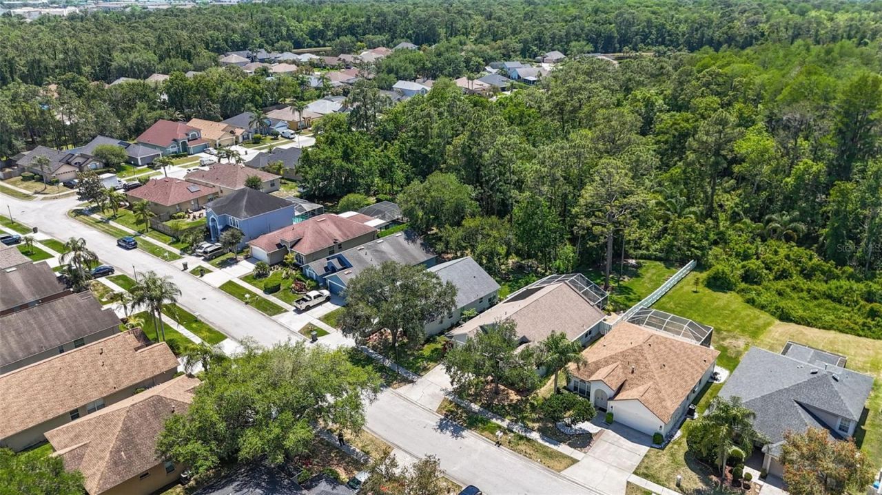 14524 Weeping Elm Drive, Tampa, FL 33626 Photo